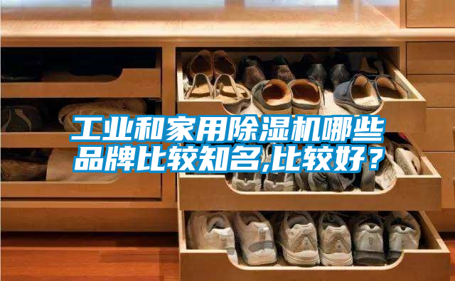 工業(yè)和家用除濕機(jī)哪些品牌比較知名,比較好？