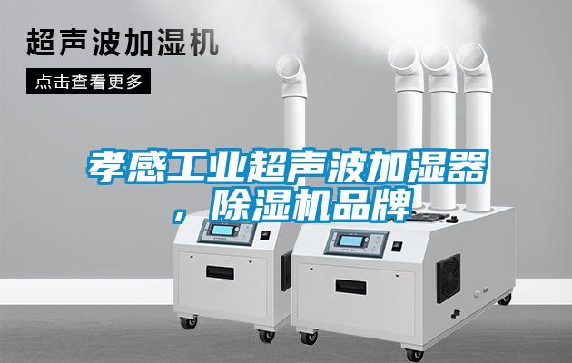 孝感工業(yè)超聲波加濕器，除濕機品牌