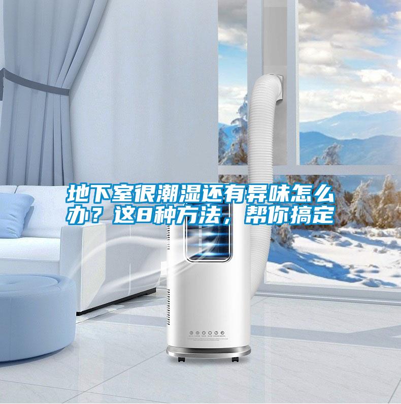 地下室很潮濕還有異味怎么辦？這8種方法，幫你搞定