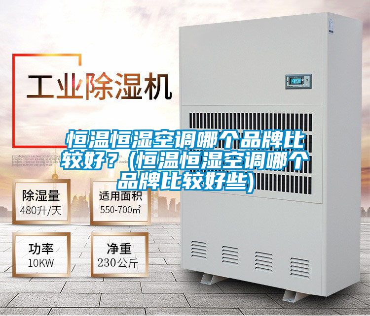 恒溫恒濕空調(diào)哪個品牌比較好？(恒溫恒濕空調(diào)哪個品牌比較好些)