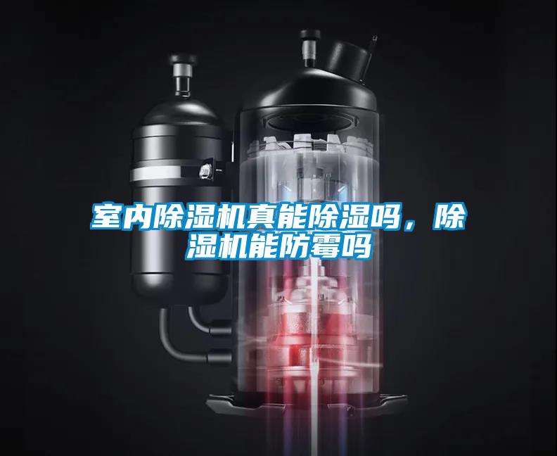 室內(nèi)除濕機真能除濕嗎，除濕機能防霉嗎