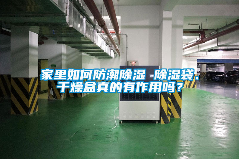 家里如何防潮除濕 除濕袋、干燥盒真的有作用嗎？