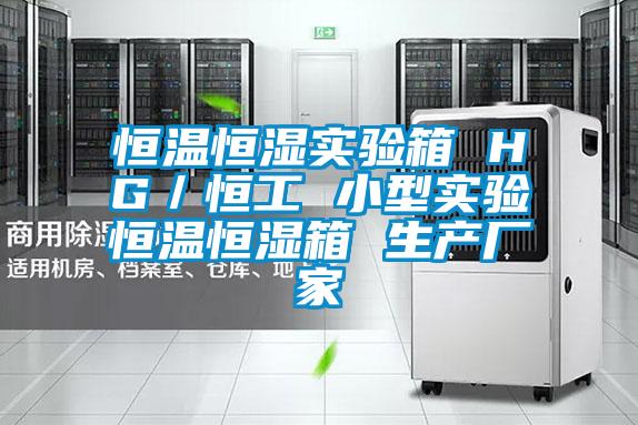 恒溫恒濕實(shí)驗(yàn)箱 HG/恒工 小型實(shí)驗(yàn)恒溫恒濕箱 生產(chǎn)廠家