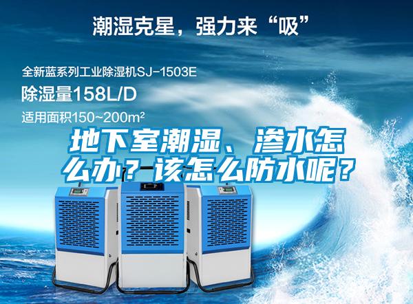 地下室潮濕、滲水怎么辦？該怎么防水呢？