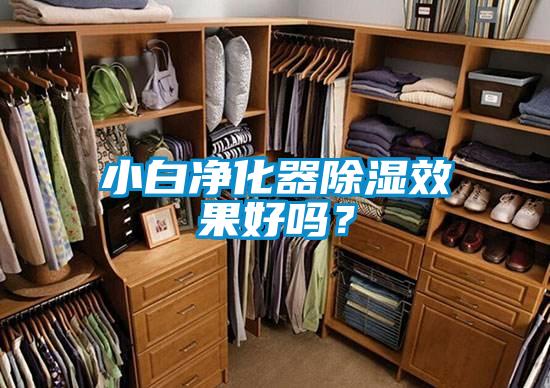 小白凈化器除濕效果好嗎？