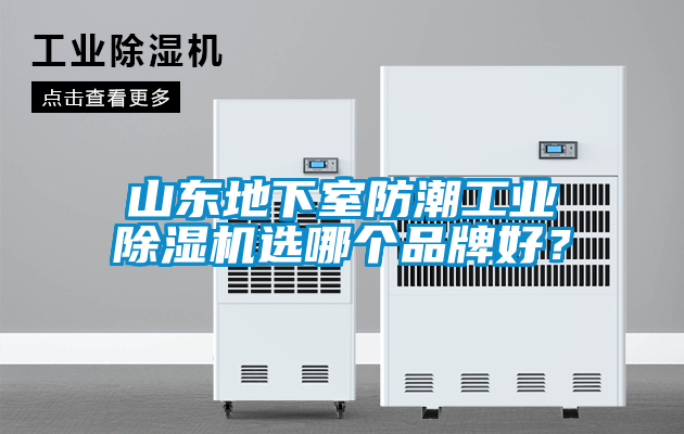 山東地下室防潮工業(yè)除濕機(jī)選哪個(gè)品牌好？