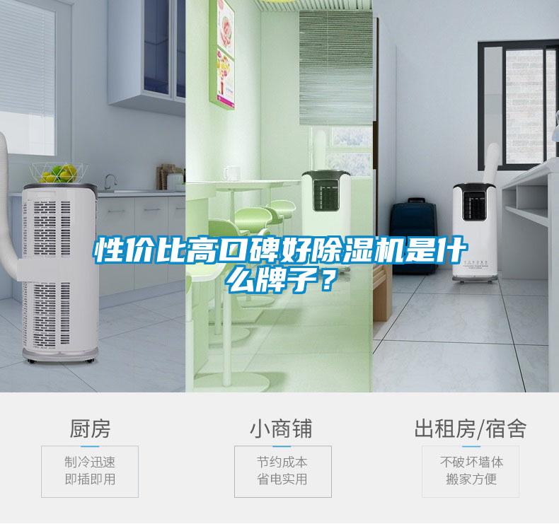性價(jià)比高口碑好除濕機(jī)是什么牌子？