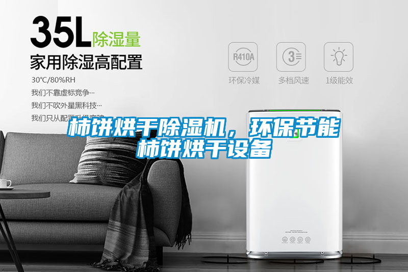 柿餅烘干除濕機，環(huán)保節(jié)能柿餅烘干設(shè)備