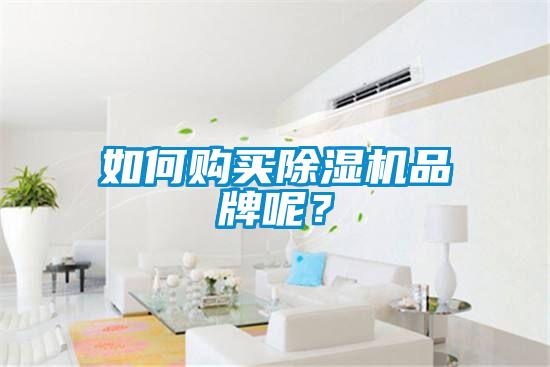 如何購(gòu)買(mǎi)除濕機(jī)品牌呢？