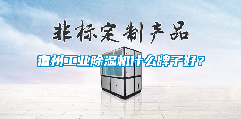 宿州工業(yè)除濕機什么牌子好？