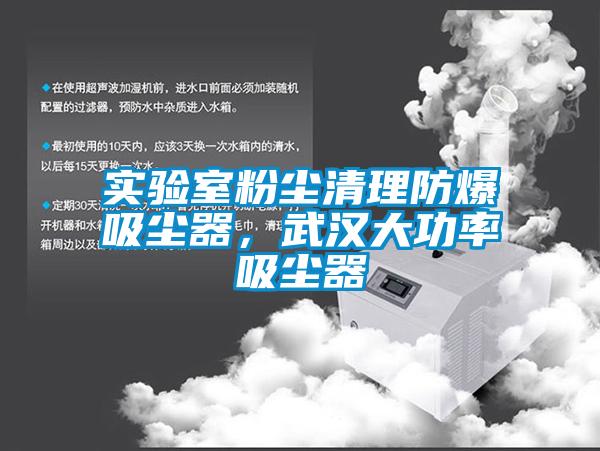 實(shí)驗(yàn)室粉塵清理防爆吸塵器，武漢大功率吸塵器