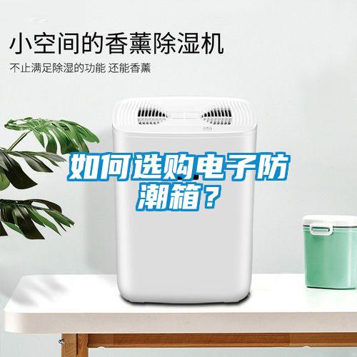 如何選購電子防潮箱？