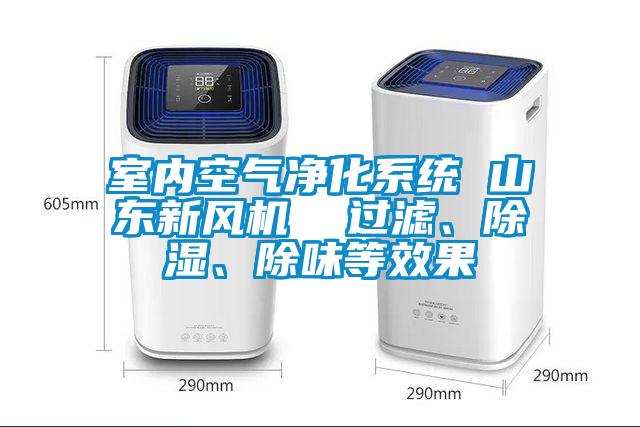 室內(nèi)空氣凈化系統(tǒng) 山東新風(fēng)機(jī)  過濾、除濕、除味等效果