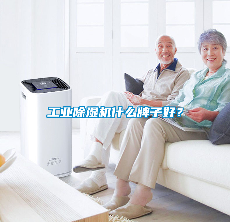 工業(yè)除濕機(jī)什么牌子好？