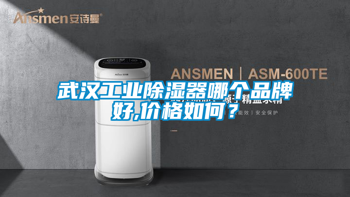 武漢工業(yè)除濕器哪個品牌好,價格如何？