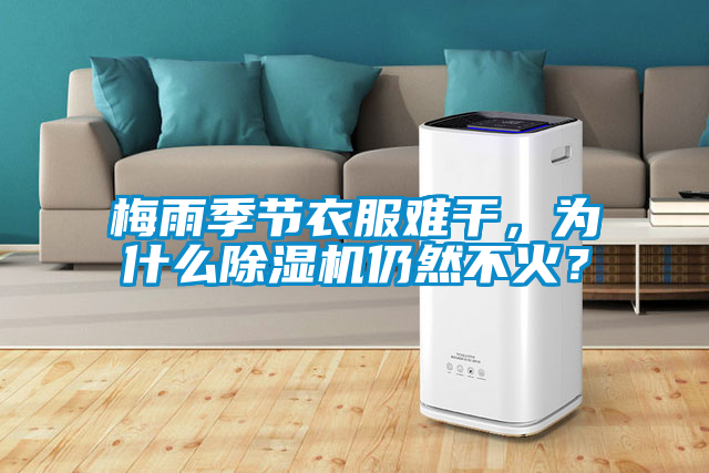 梅雨季節(jié)衣服難干，為什么除濕機(jī)仍然不火？