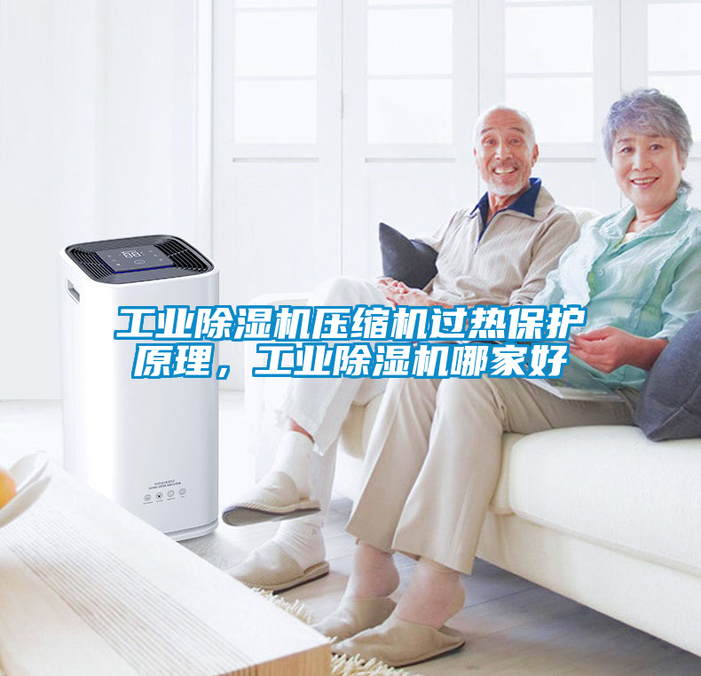 工業(yè)除濕機(jī)壓縮機(jī)過熱保護(hù)原理，工業(yè)除濕機(jī)哪家好