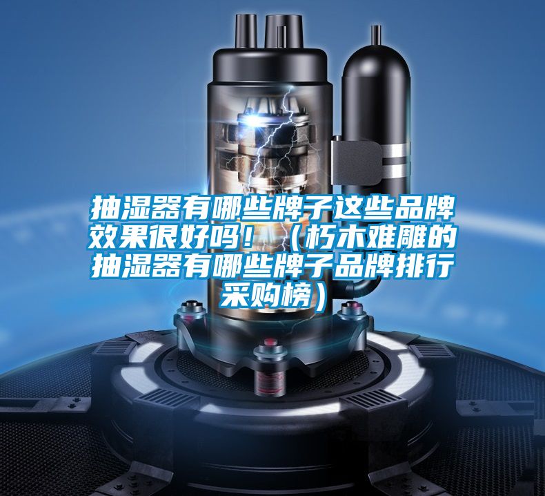 抽濕器有哪些牌子這些品牌效果很好嗎?。ㄐ嗄倦y雕的抽濕器有哪些牌子品牌排行采購(gòu)榜）