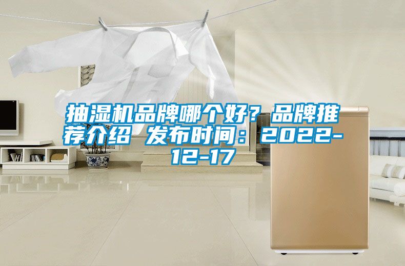 抽濕機(jī)品牌哪個好？品牌推薦介紹 發(fā)布時間：2022-12-17