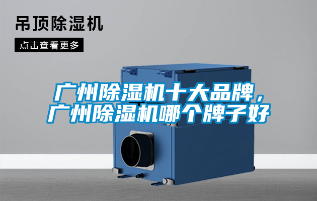 廣州除濕機(jī)十大品牌，廣州除濕機(jī)哪個(gè)牌子好