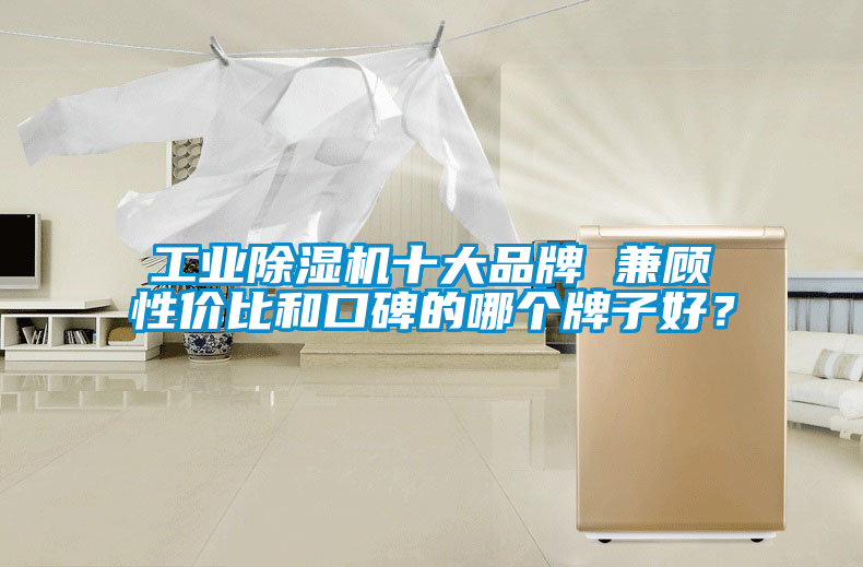 工業(yè)除濕機十大品牌 兼顧性價比和口碑的哪個牌子好？