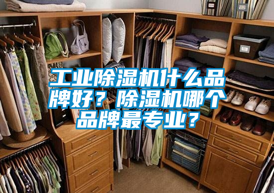 工業(yè)除濕機什么品牌好？除濕機哪個品牌最專業(yè)？