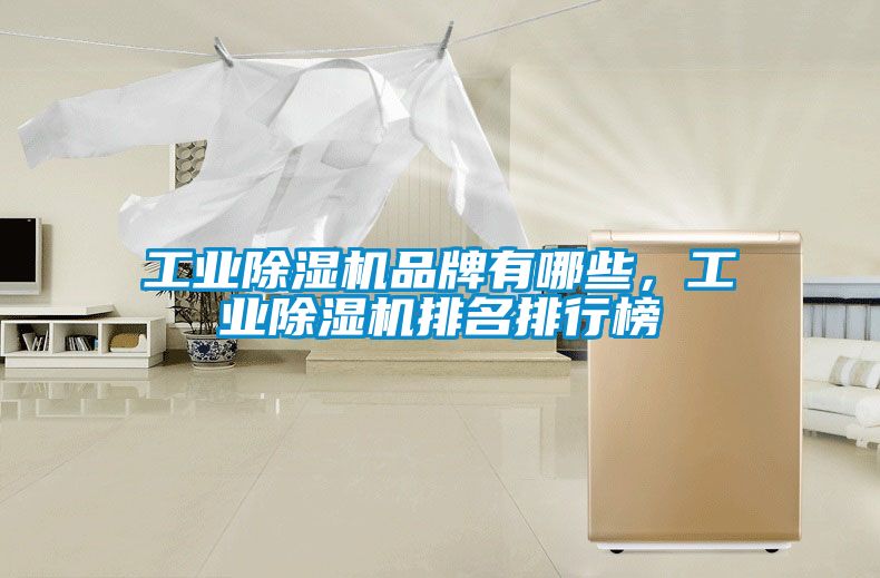 工業(yè)除濕機(jī)品牌有哪些，工業(yè)除濕機(jī)排名排行榜