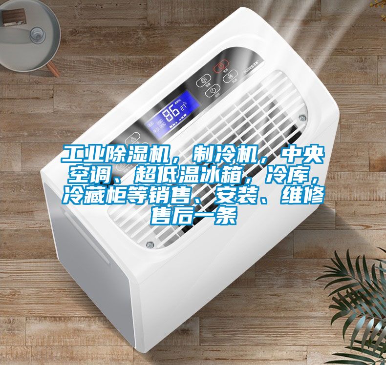 工業(yè)除濕機(jī)，制冷機(jī)，中央空調(diào)、超低溫冰箱，冷庫(kù)，冷藏柜等銷售、安裝、維修售后一條