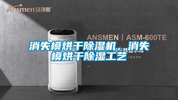 消失模烘干除濕機(jī)，消失模烘干除濕工藝