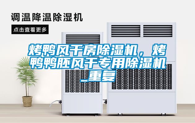 烤鴨風(fēng)干房除濕機(jī)，烤鴨鴨胚風(fēng)干專用除濕機(jī)_重復(fù)