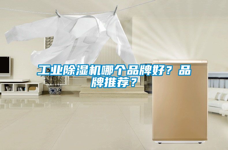 工業(yè)除濕機(jī)哪個品牌好？品牌推薦？