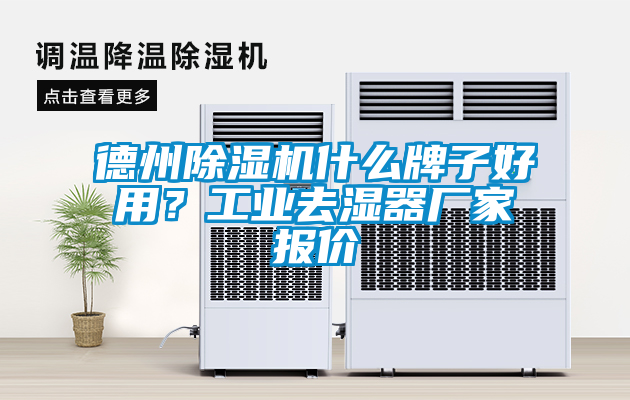 德州除濕機什么牌子好用？工業(yè)去濕器廠家報價