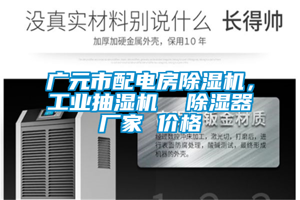 廣元市配電房除濕機(jī)，工業(yè)抽濕機(jī)  除濕器廠家 價(jià)格