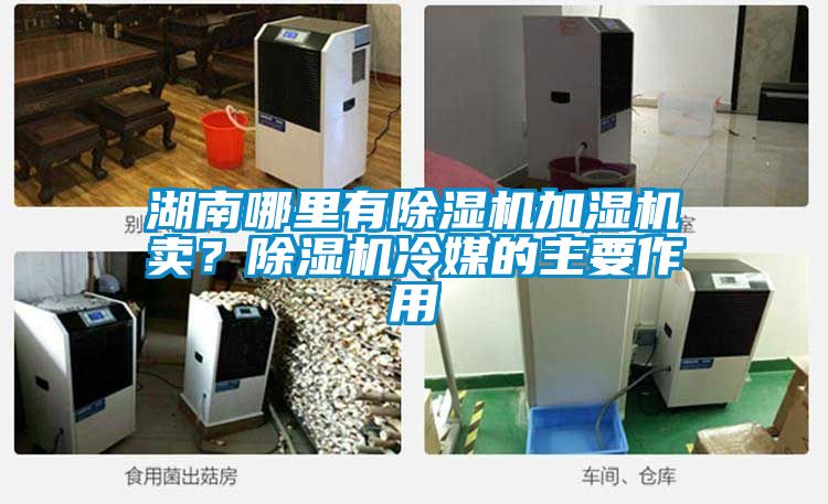 湖南哪里有除濕機(jī)加濕機(jī)賣？除濕機(jī)冷媒的主要作用