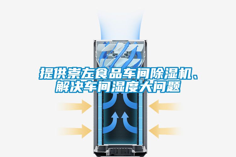 提供崇左食品車間除濕機(jī)、解決車間濕度大問題