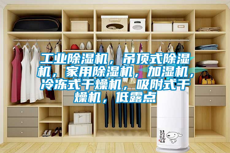 工業(yè)除濕機(jī)，吊頂式除濕機(jī)，家用除濕機(jī)，加濕機(jī)，冷凍式干燥機(jī)，吸附式干燥機(jī)，低露點(diǎn)