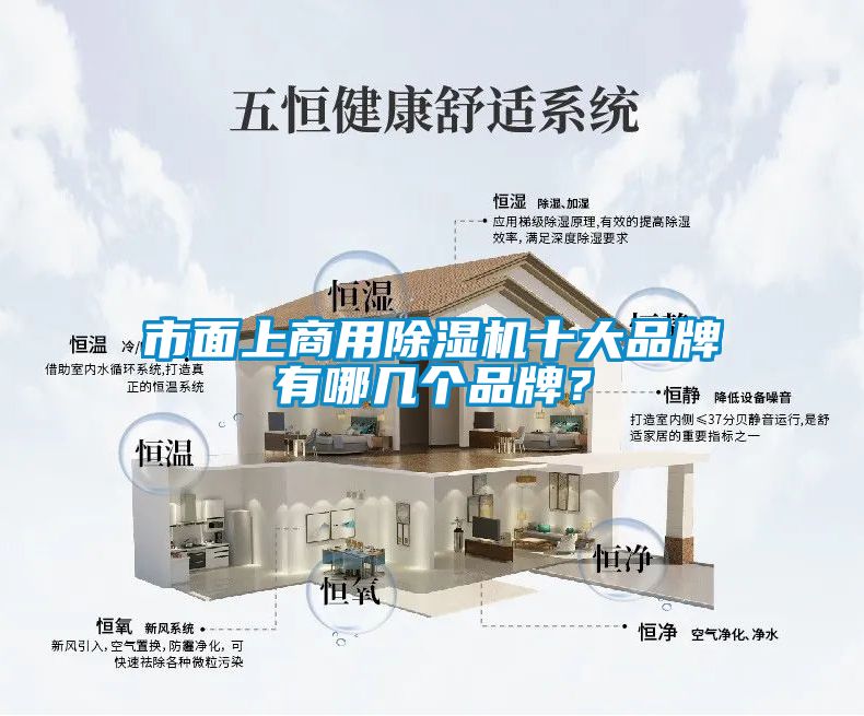 市面上商用除濕機(jī)十大品牌有哪幾個(gè)品牌？