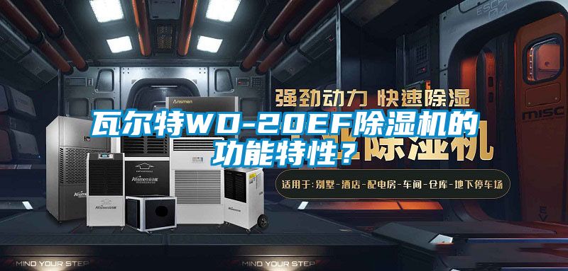 瓦爾特WD-20EF除濕機的功能特性？