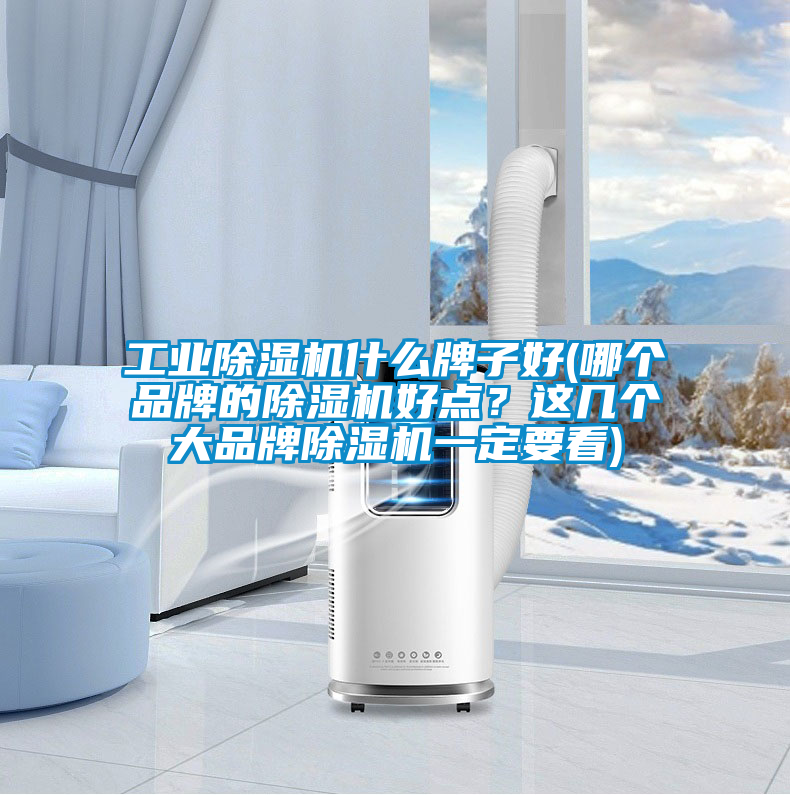 工業(yè)除濕機(jī)什么牌子好(哪個品牌的除濕機(jī)好點(diǎn)？這幾個大品牌除濕機(jī)一定要看)