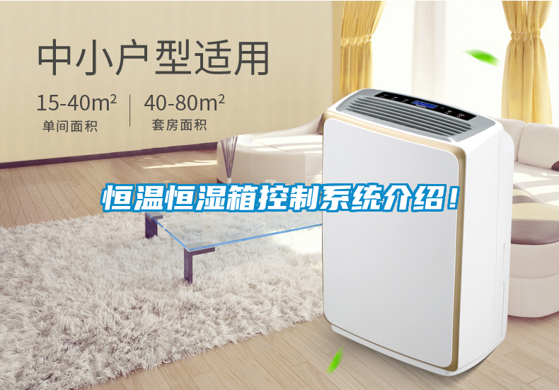 恒溫恒濕箱控制系統(tǒng)介紹！