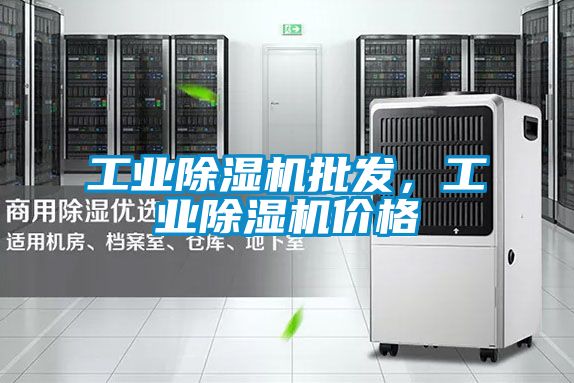 工業(yè)除濕機批發(fā)，工業(yè)除濕機價格