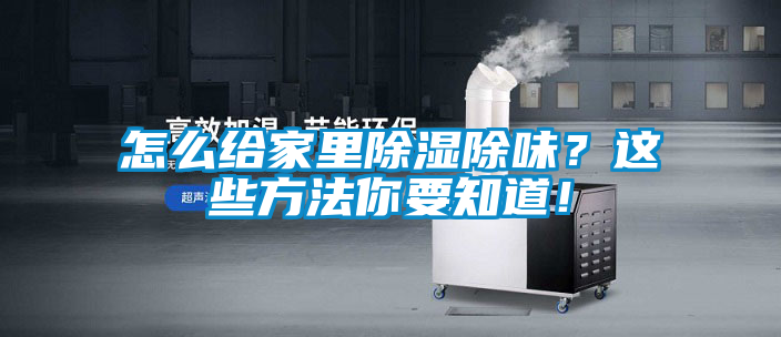 怎么給家里除濕除味？這些方法你要知道！