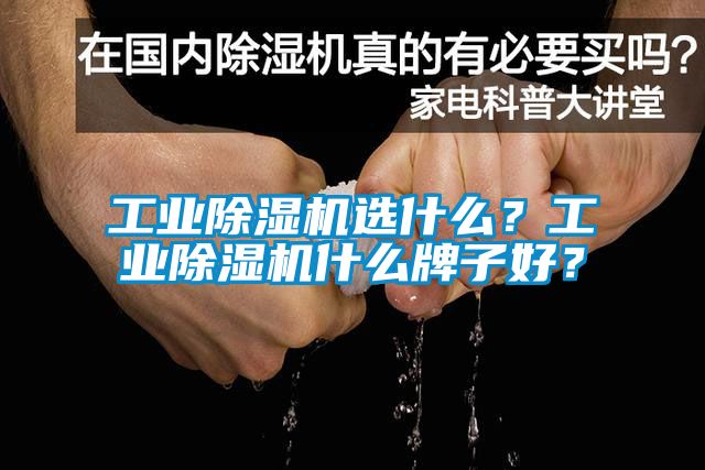 工業(yè)除濕機選什么？工業(yè)除濕機什么牌子好？