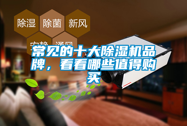 常見(jiàn)的十大除濕機(jī)品牌,看看哪些值得購(gòu)買(mǎi)