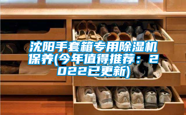 沈陽手套箱專用除濕機(jī)保養(yǎng)(今年值得推薦:2022已更新)