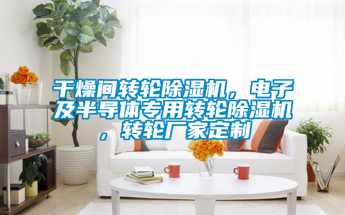 干燥間轉(zhuǎn)輪除濕機(jī)，電子及半導(dǎo)體專(zhuān)用轉(zhuǎn)輪除濕機(jī)，轉(zhuǎn)輪廠家定制