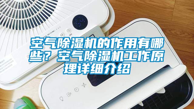 空氣除濕機(jī)的作用有哪些？空氣除濕機(jī)工作原理詳細(xì)介紹
