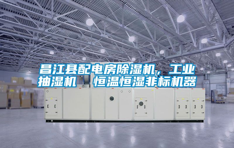 昌江縣配電房除濕機(jī)，工業(yè)抽濕機(jī)  恒溫恒濕非標(biāo)機(jī)器