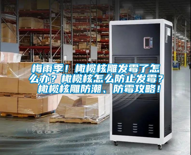 梅雨季！橄欖核雕發(fā)霉了怎么辦？橄欖核怎么防止發(fā)霉？ 橄欖核雕防潮、防霉攻略！