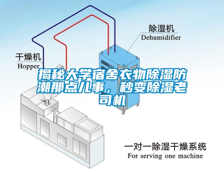 揭秘大學宿舍衣物除濕防潮那點兒事，秒變除濕老司機